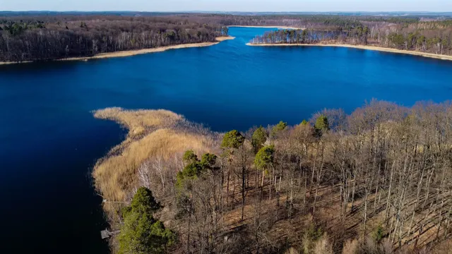 Rezerwat przyrody Wyspa na Jeziorze Bierzwnik