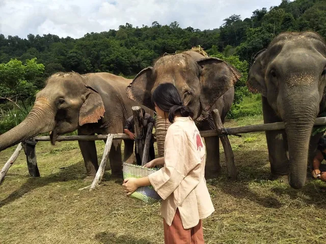 Chiang Mai Karen Elephant Sanctuary