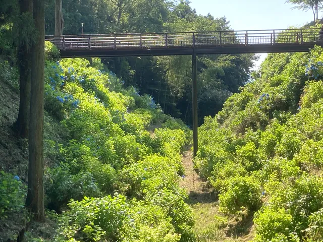 黒羽城址公園（大田原市）