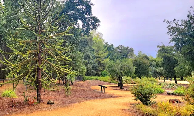 Mc Connell Arboretum & Botanical Gardens