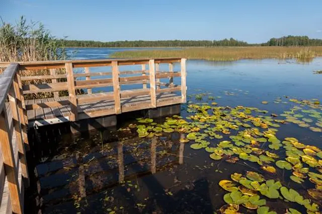 Polesie National Park