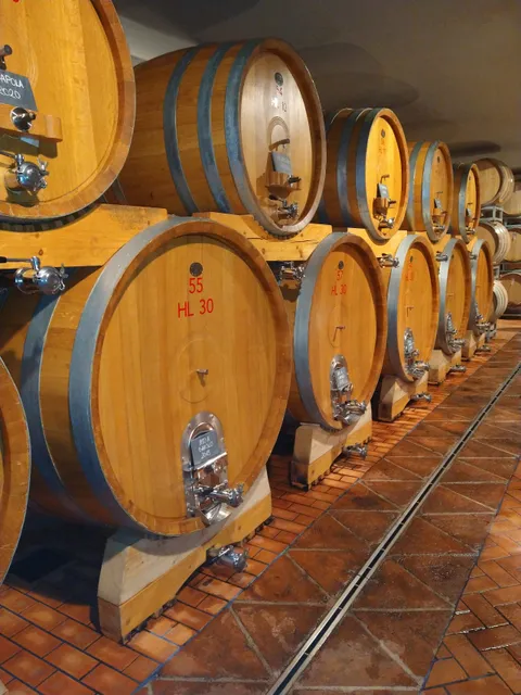 Cantine Ascheri Giacomo