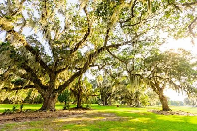 Audubon Park
