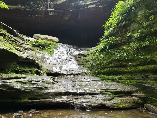 Ferne Clyffe Waterfall Trail