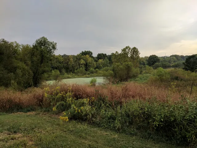 3M Flat Branch-Hinkson Creek Wetlands
