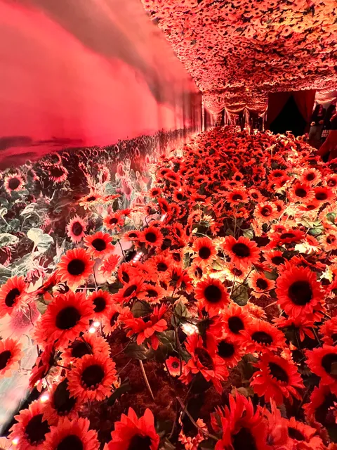 Exposição Van Gogh