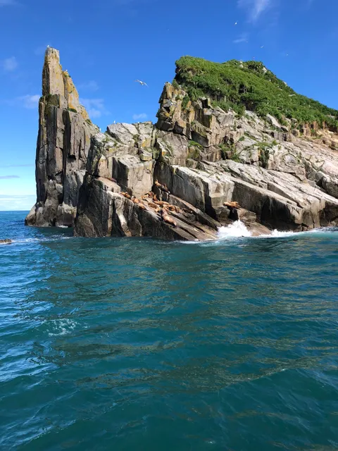 Alaska Coastal Explorer