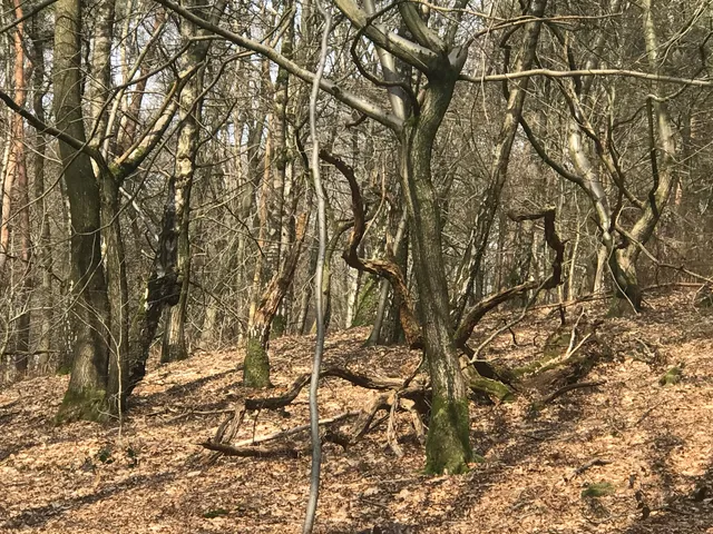 Wandelroute Duivelsberg (6 km)