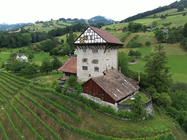 Burg Neu-Altstätten