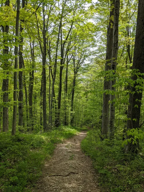 Morris Tract Provincial Nature Reserve