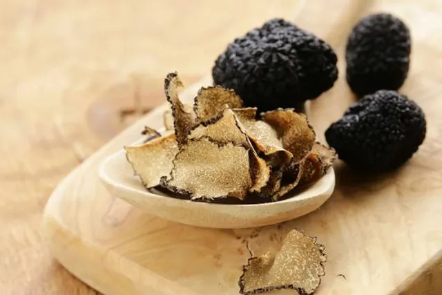 Truffle in Tuscany
