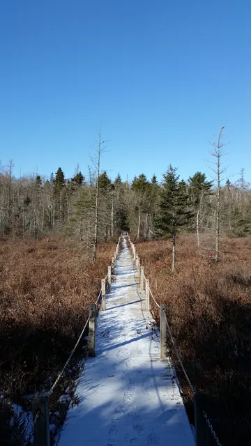 McDonald Sports Park