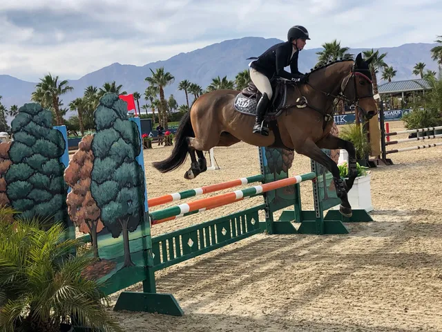 Desert International Horse Park