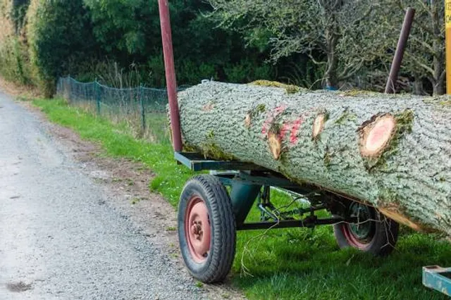 NatureScaping of SW Washington's Wildlife Botanical Gardens