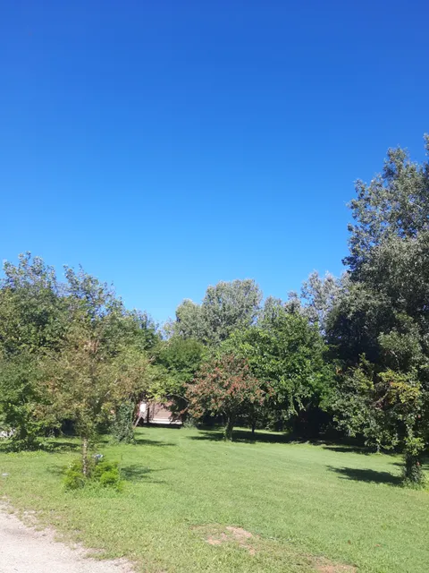 Orto botanico "G. LONGHI"