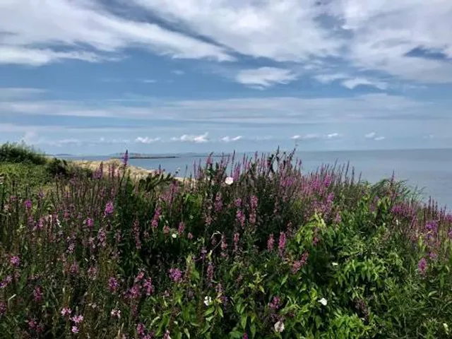 Mass Audubon's High Ledges Wildlife Sanctuary