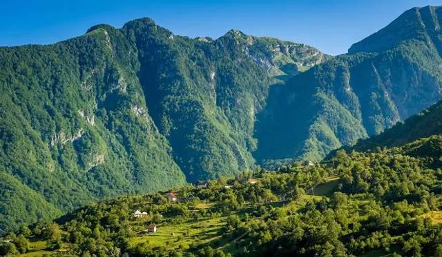 Parque nacional zona forestal Sierra Montenegro