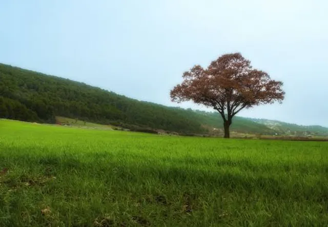 Canale di Pirro (Canale delle Pile)