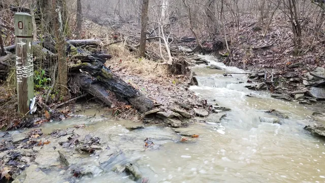 LaBoiteaux Woods Nature Center
