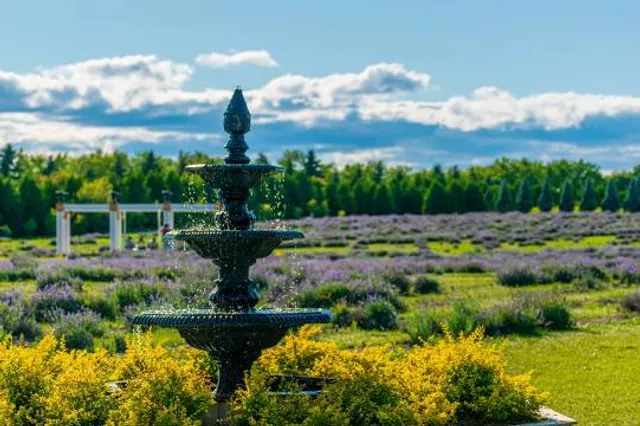 La Seigneurie de l'Île d'Orléans