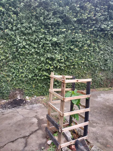 Trailer São Sebastião