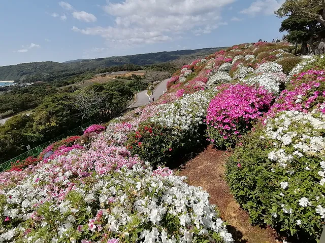 Higashi Village Villagers' Forest