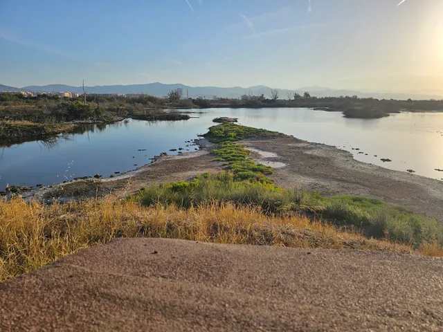 Desembocadura Río Guadalhorce
