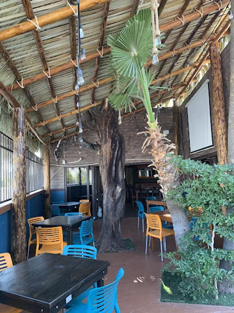 Cecina Mr. Toto Serna