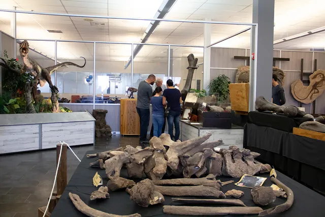 Creation Discovery Museum