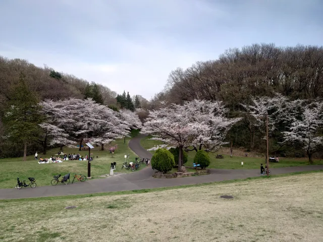 Sakuragaoka Park Service Center