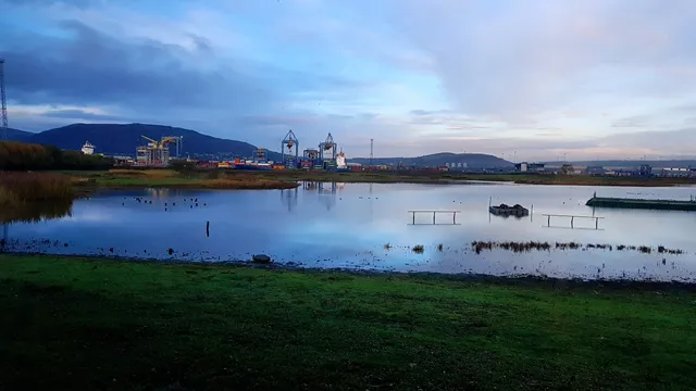 RSPB Belfast's Window on Wildlife
