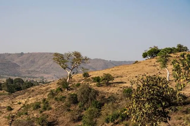 Sarsenapati Hambirrao Mohite Samadhi ,Talbid