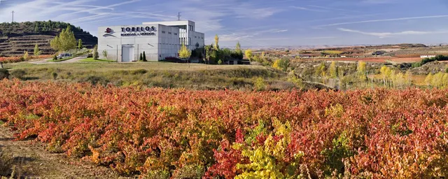 Tobelos Bodegas Y Viñedos
