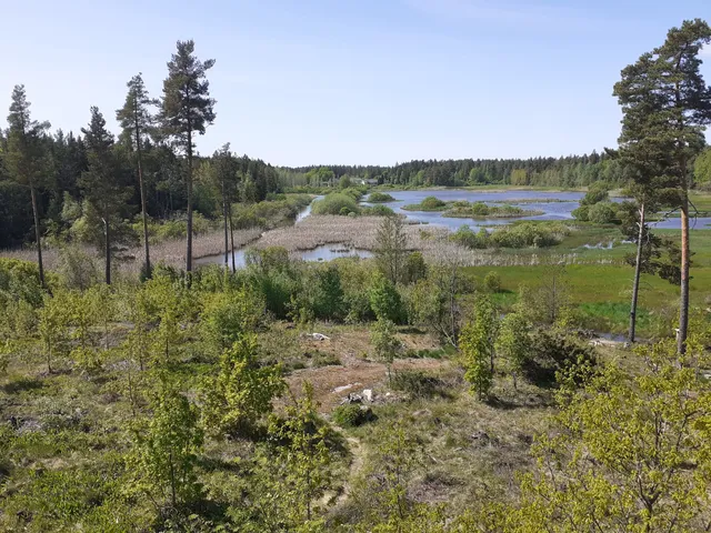 Järvelä Wetland
