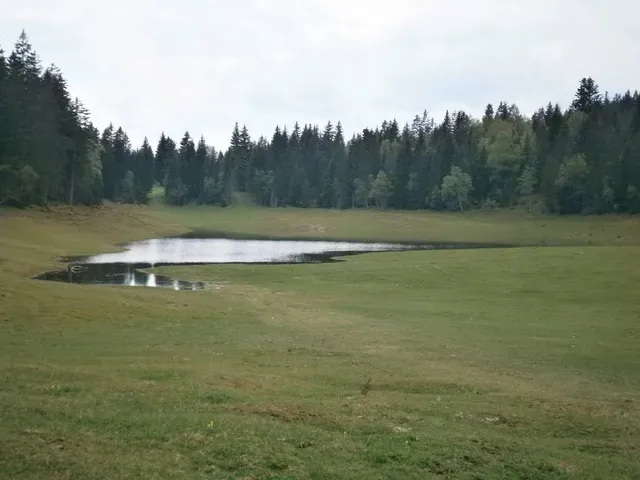 Wildmoossee (periodisch)