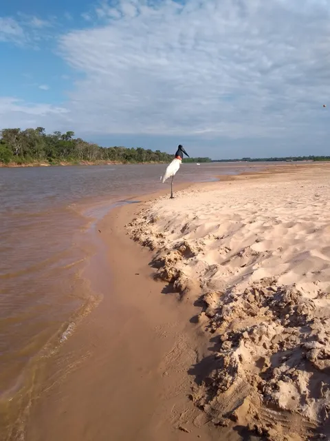 Reserva Extrativista Lago do Cedro