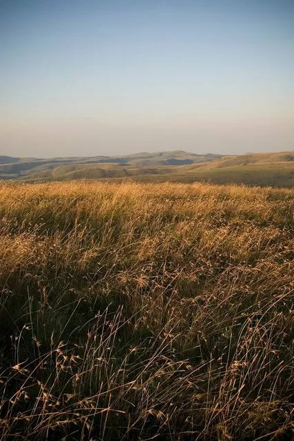 Pixley Ka Seme Local Municipality