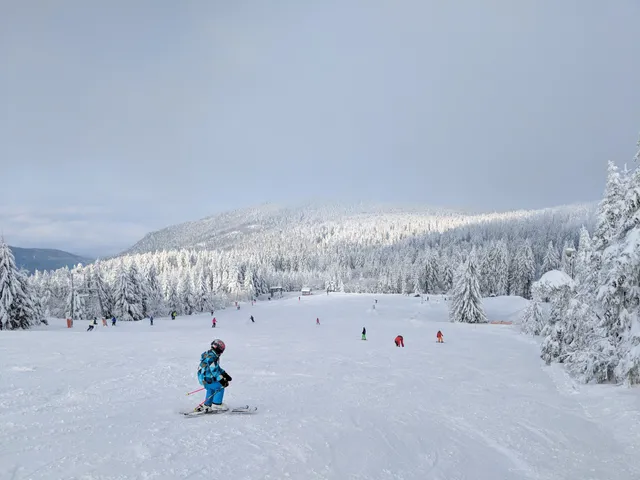 Skiliftbetriebe Unterstmatt