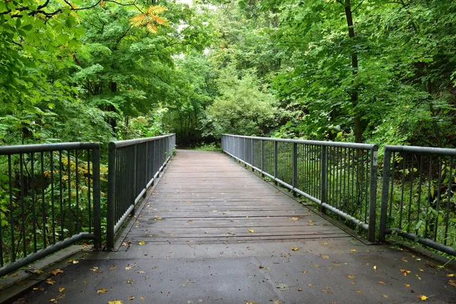 Chedoke Radial Recreational Trail