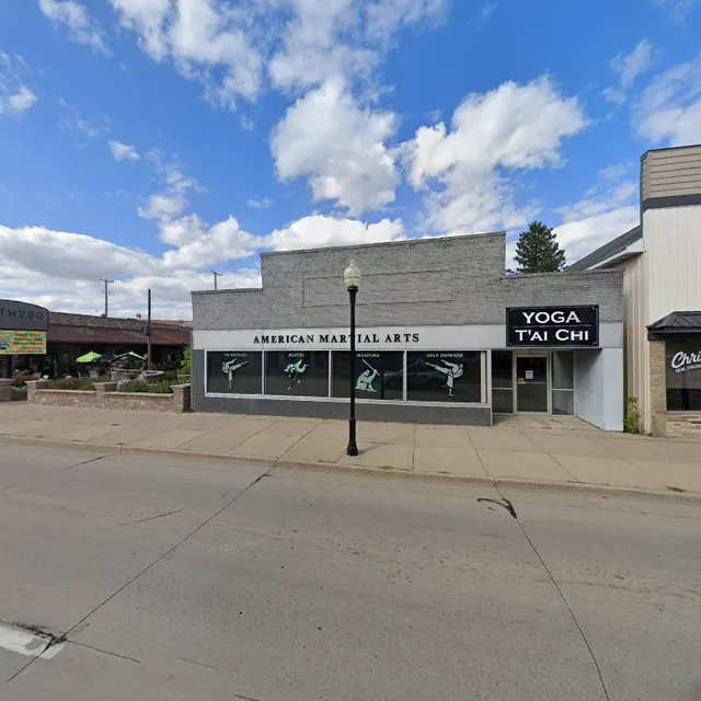 American Martial Arts Academy