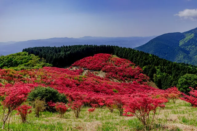 Katsuragi-kogen Highland