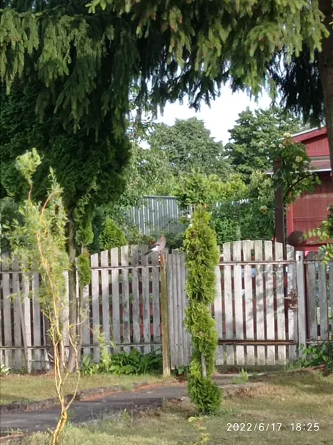 Ogrody działkowe "Pod lipami"