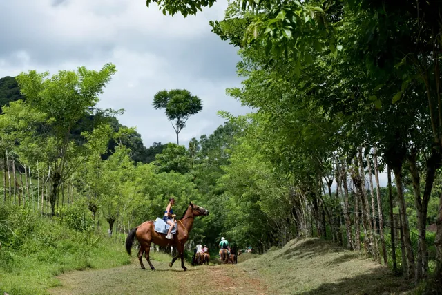 Horseback Riding Manuel Antonio