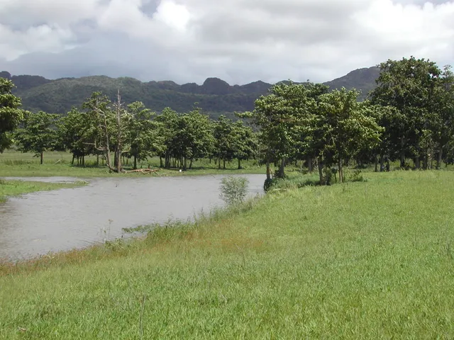 Nino Konis Santana National Park