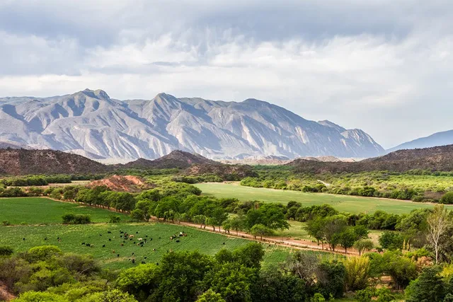 Condor Valley Estate & Winery