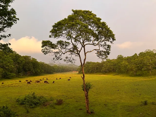 Edapalayam Watch Tower