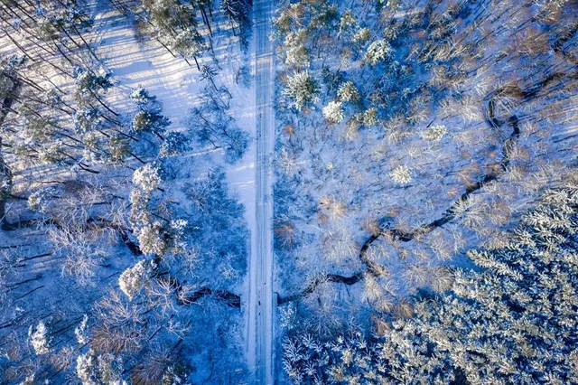 Sakaigawa Kiyozumi Ryokuchi Park