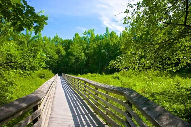 Great Swamp National Wildlife Refuge