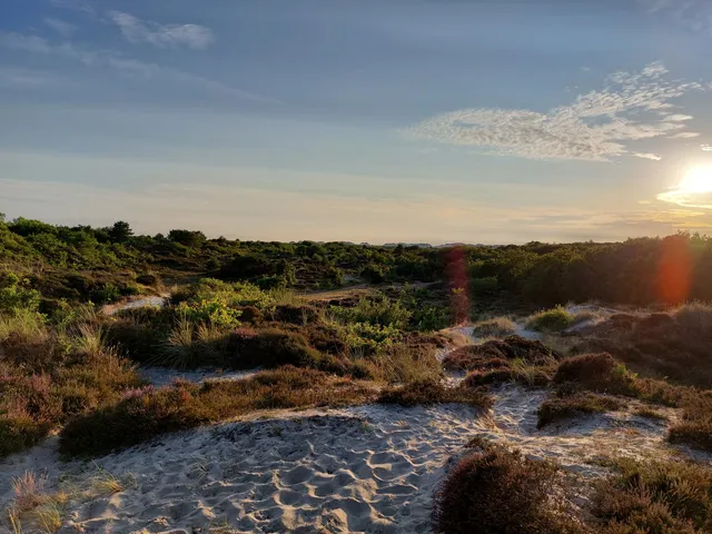 Wandelpad Terschelling