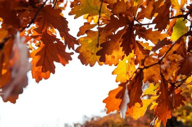 Grotta del Trullo - Putignano